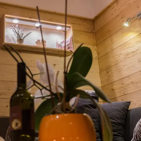 アパート Haus Alpenkoenig Stubaier Gletscher ノイシュティフト・イム・シュトゥーバイタール