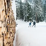 Апартаменты Haus Alpenkoenig Stubaier Gletscher *